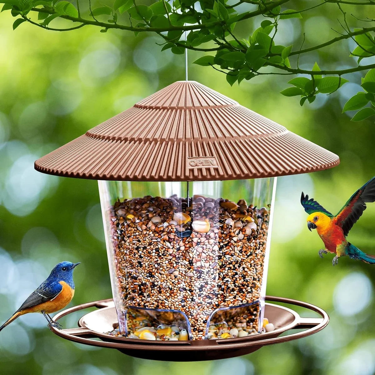 Hanging Birds Feeder