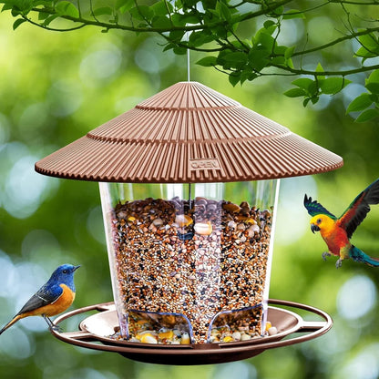 Hanging Birds Feeder