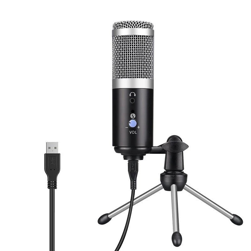 Computer Microphone